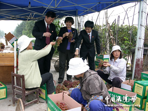中国法院网:焦作法官十一节前稳字当头
