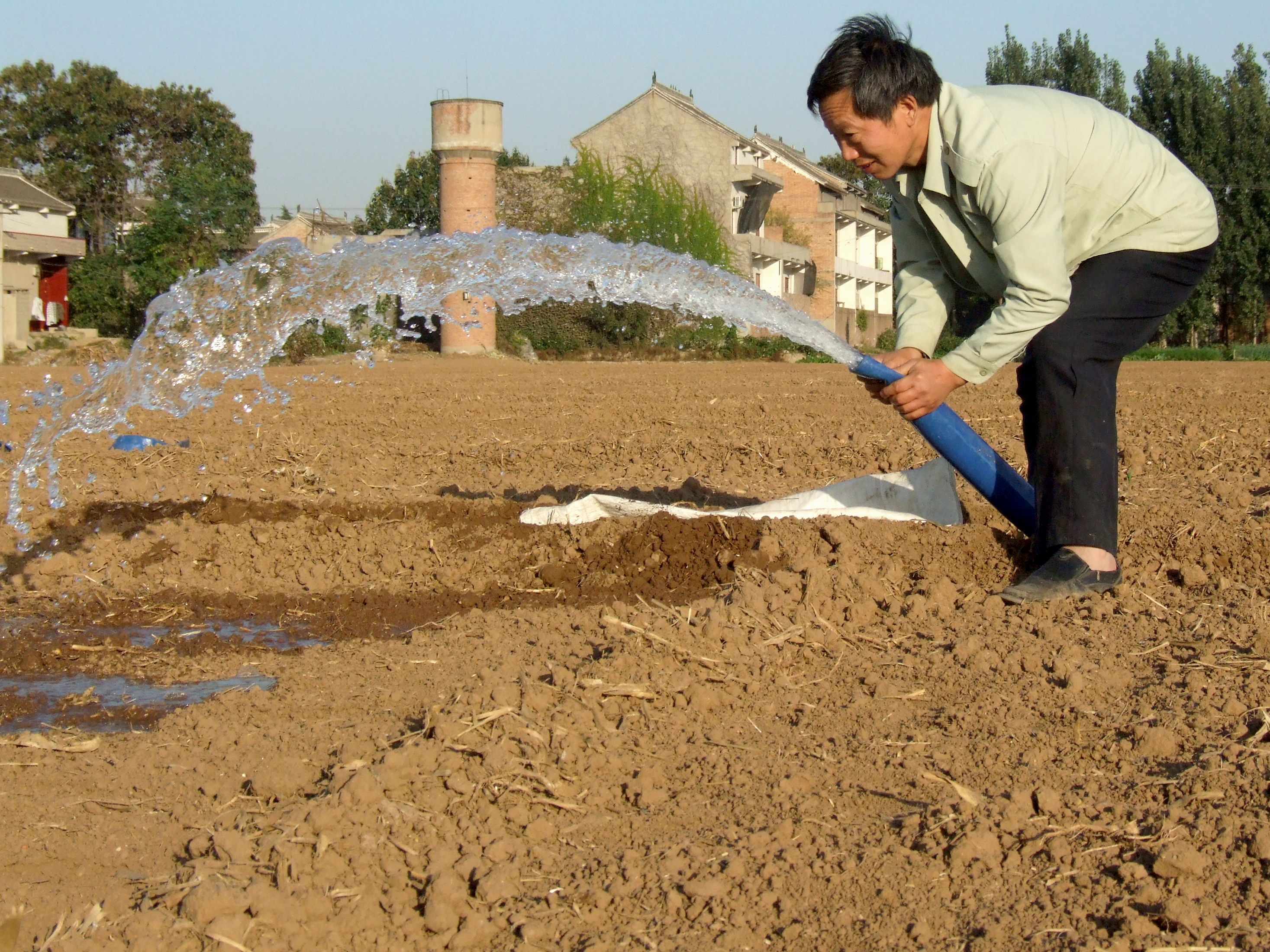 (图片)孟州:农民浇灌小麦蒙头水