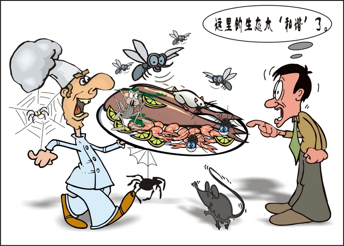 漫画:南京检查医院饭店四害状况