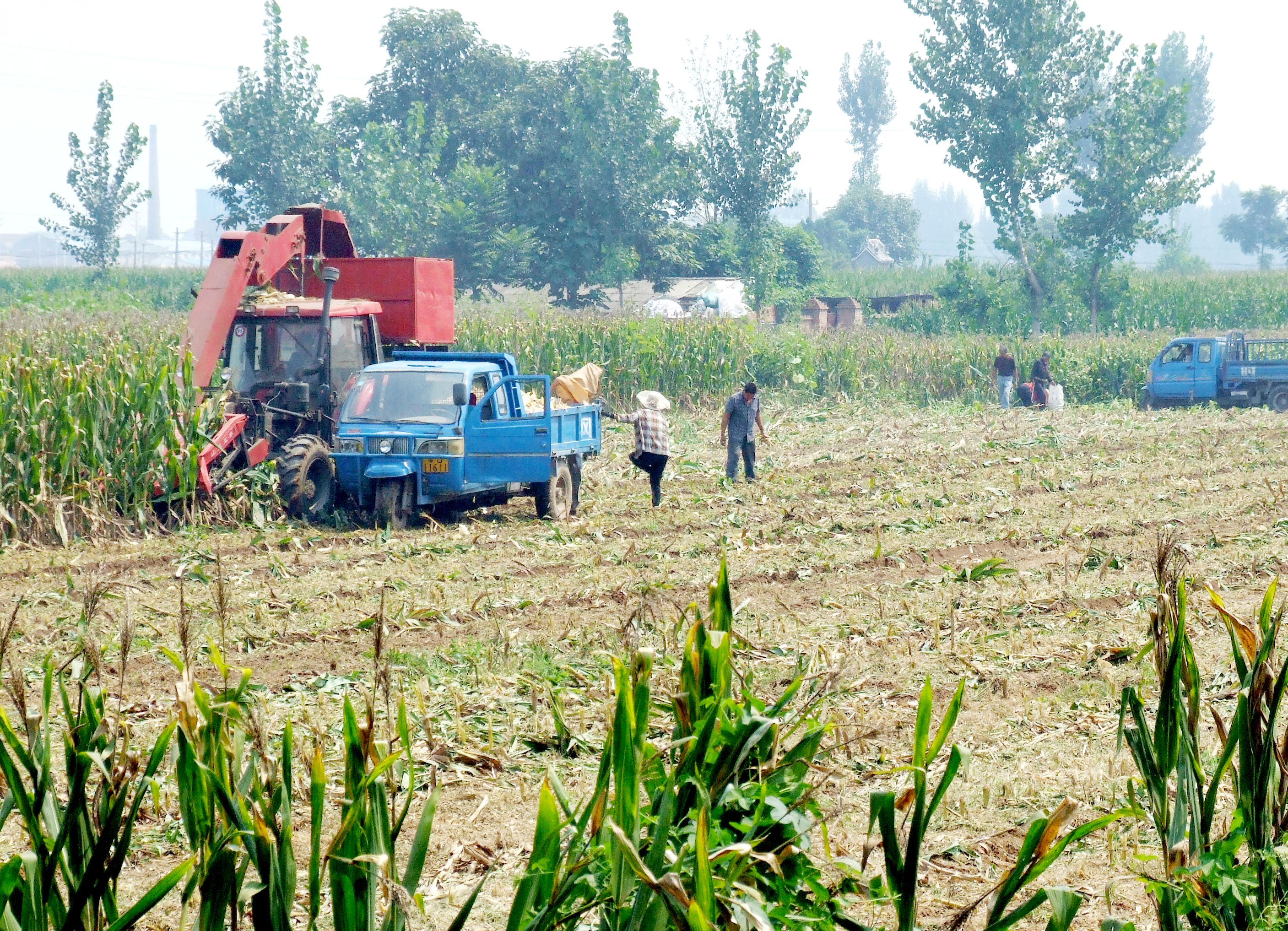 (图片)孟州:粮食生产机械化水平大幅提高