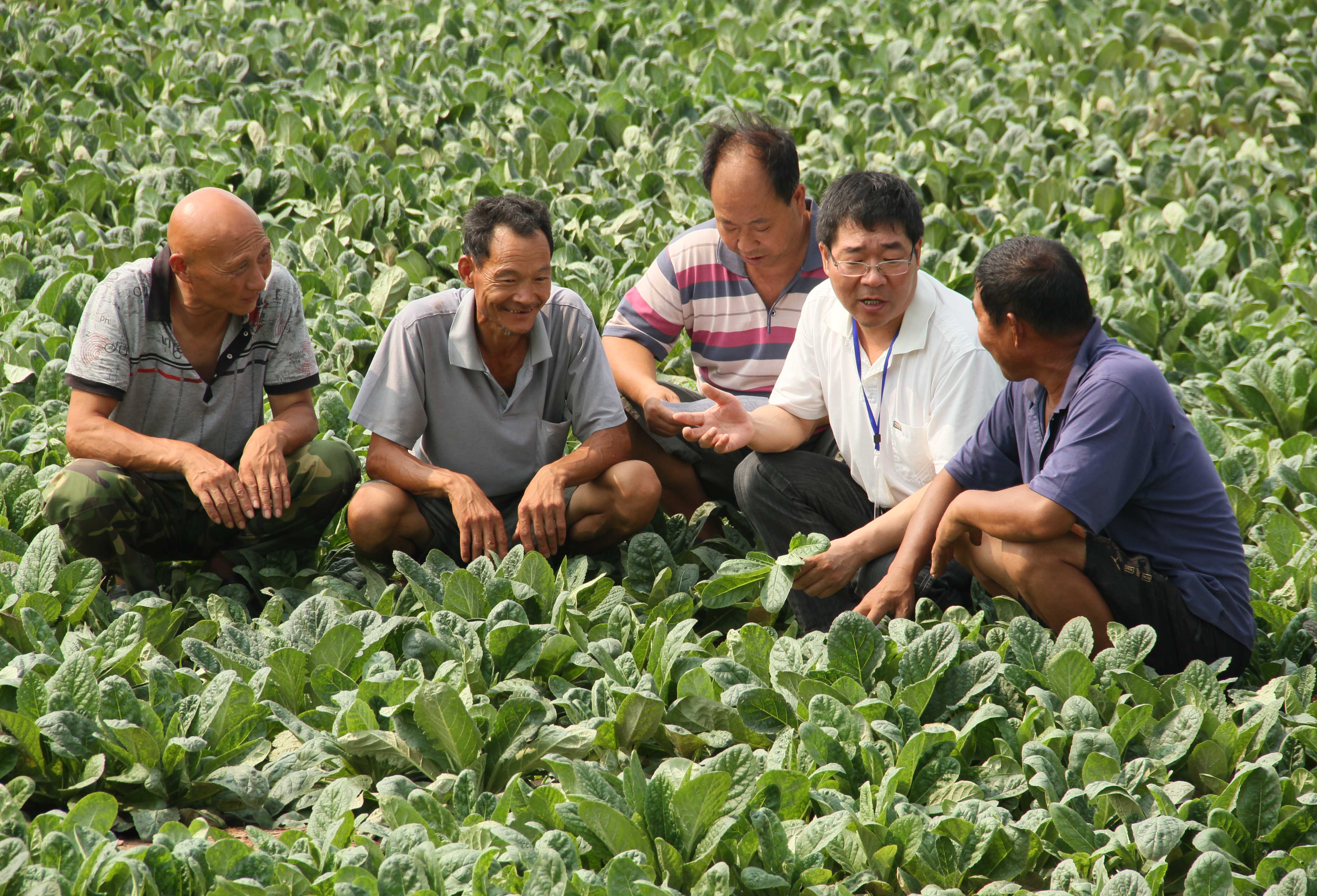 【新闻图片】坚持群众路线 转变工作作风 _通