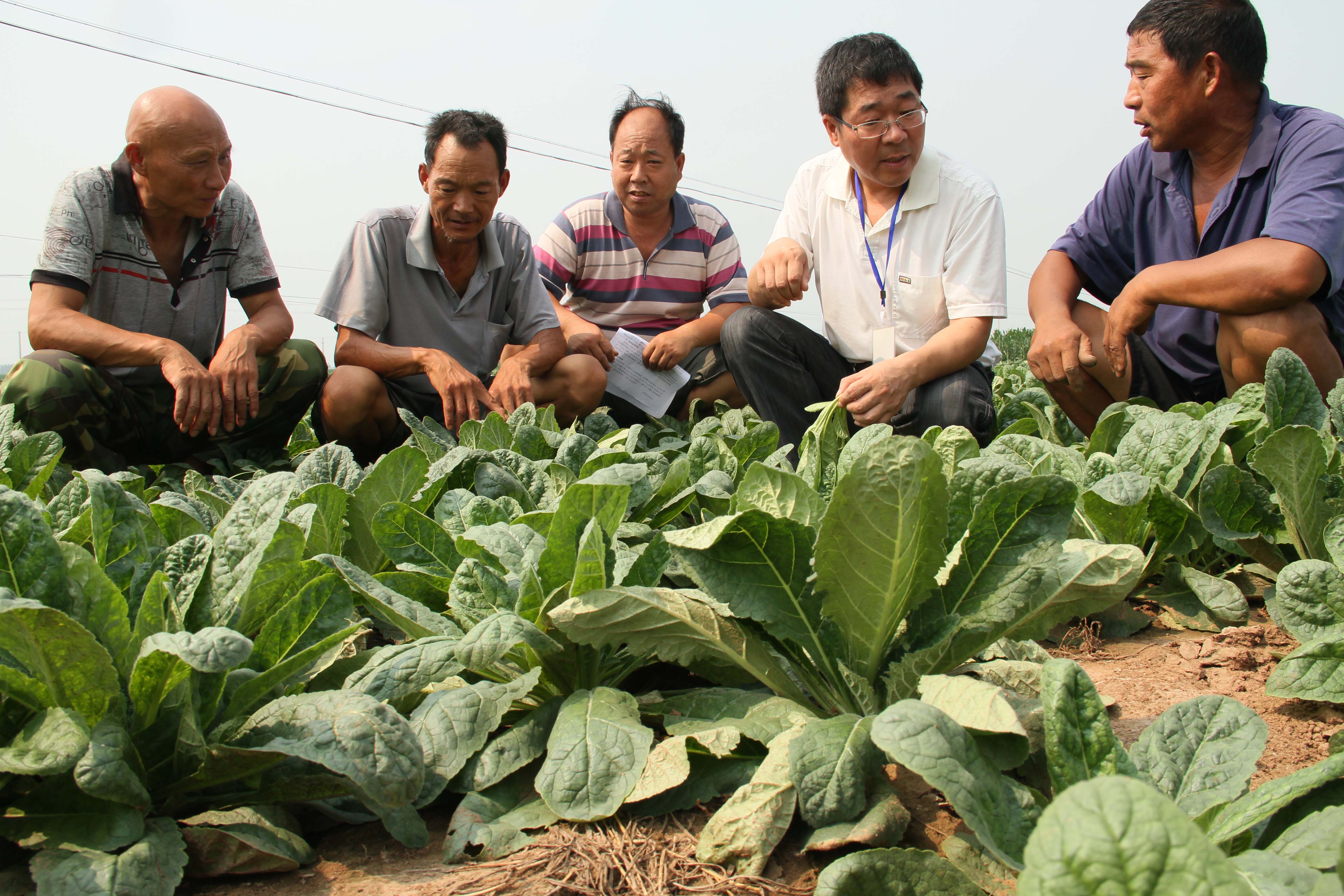 【新闻图片】坚持群众路线 转变工作作风 _通