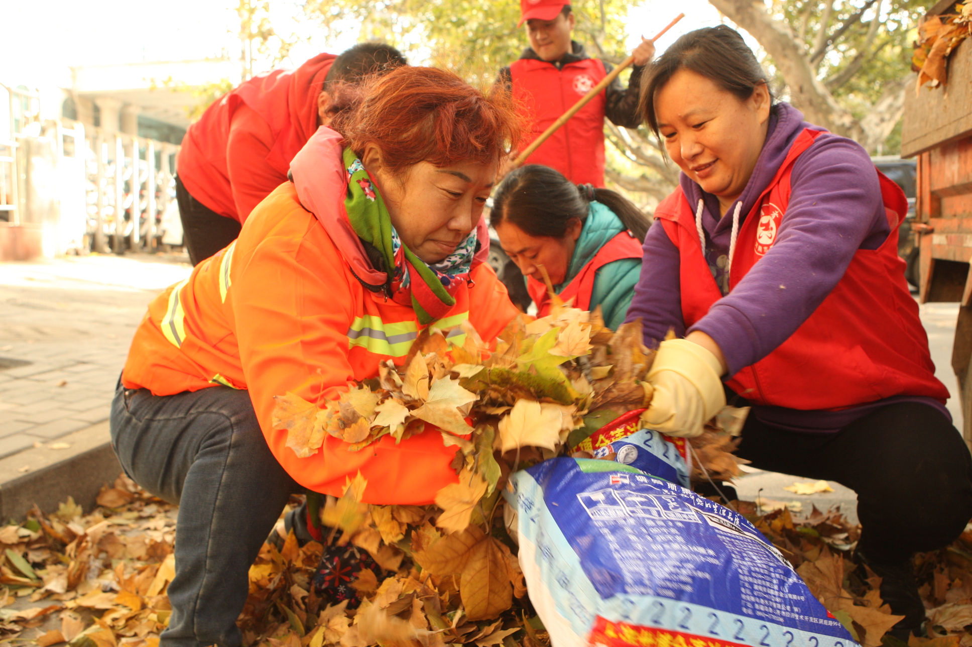 图片新闻:解放区1000名志愿者清扫落叶保整洁