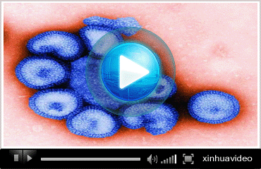 ��Ƶר�⣺ȫ�����������