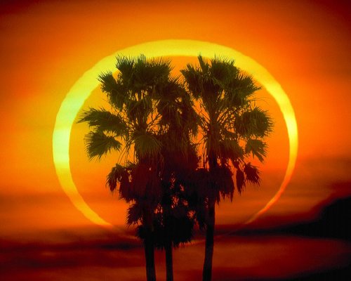 ����15ʱ��Ѷ��ȫ��ֱ���ջ�ʳ�������(ͼ)