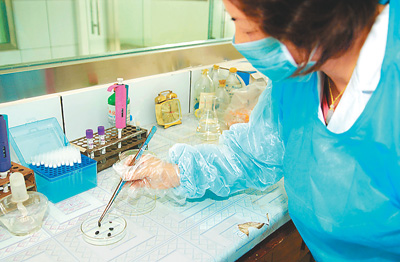 9��13�գ�����ʡ�̳��ؼ����������Ĺ�����Աչʾ���걾���������㣨����ͼƬ��