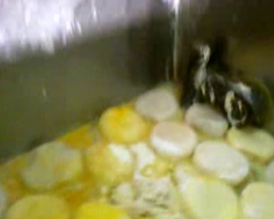 ������ͷ+��ɫ��=��������ͷ��