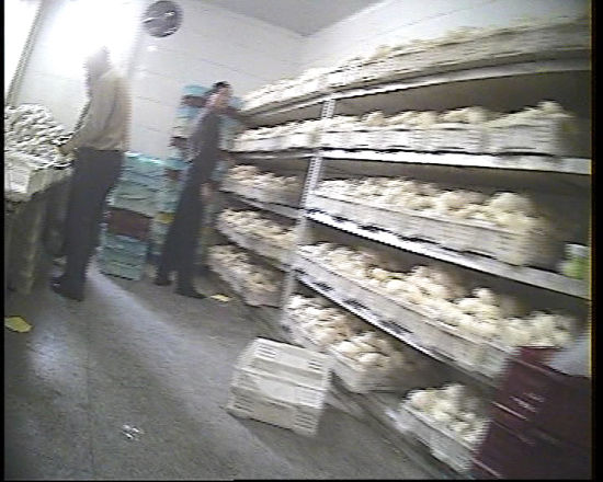 ÿ�����������ׯ��ͷ�����Ϻ������ȳ���